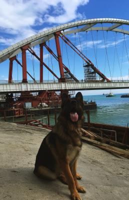 Прикрепленное изображение: rIReKhoBupw.jpg